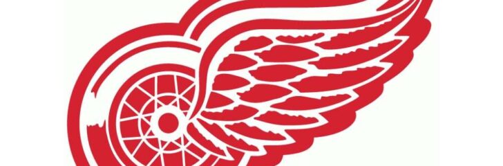 Falken NHL