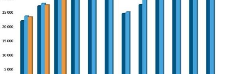 Bil sweden statistik