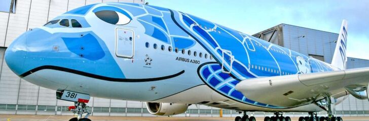 michelin flygplansdäck