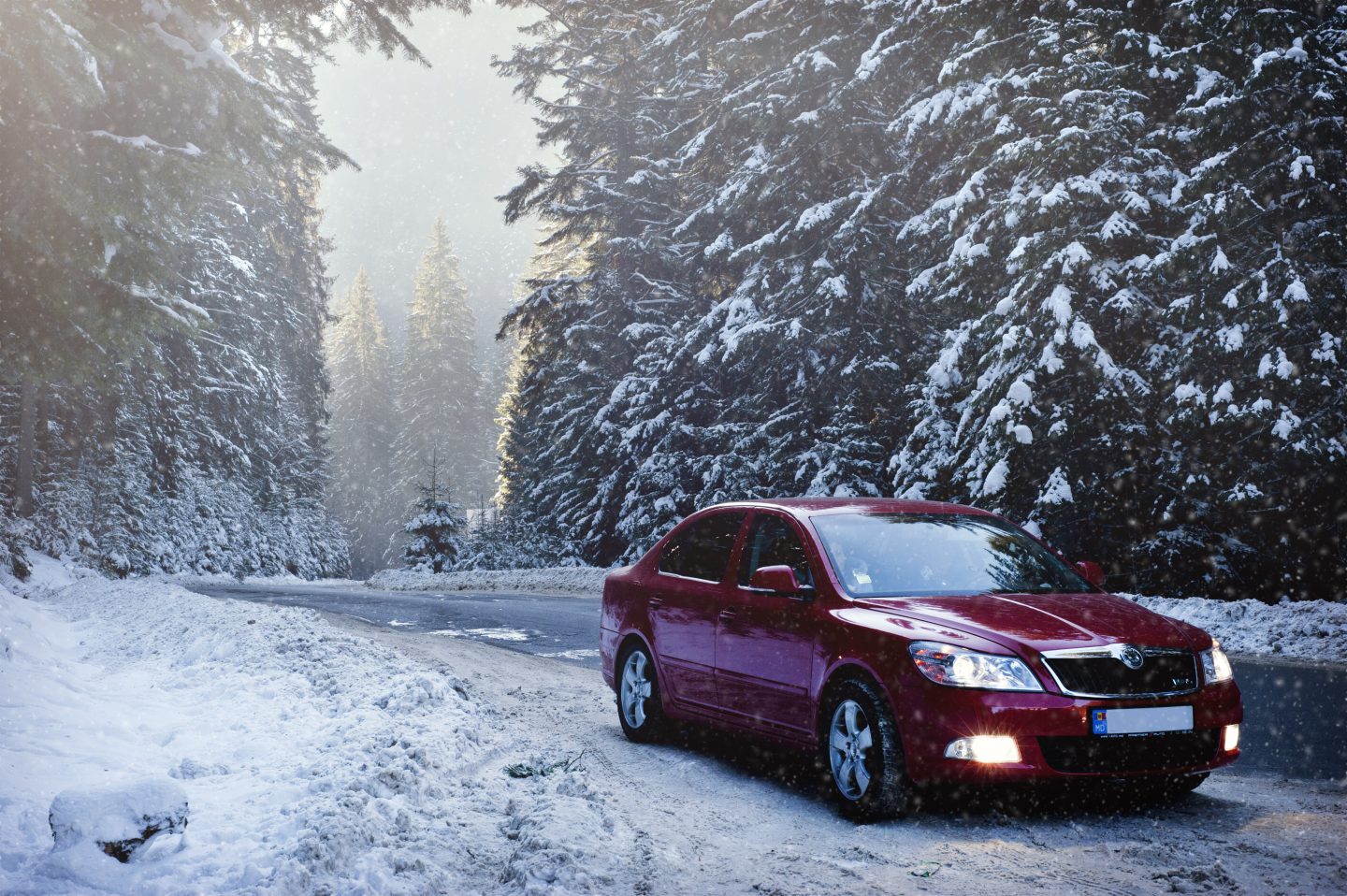 Red sedan in the middle of forest