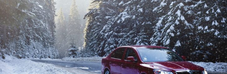 Red sedan in the middle of forest