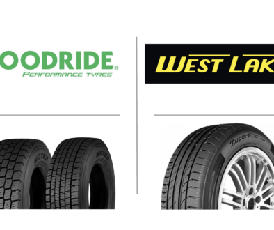 dexxen tire westlake goodride