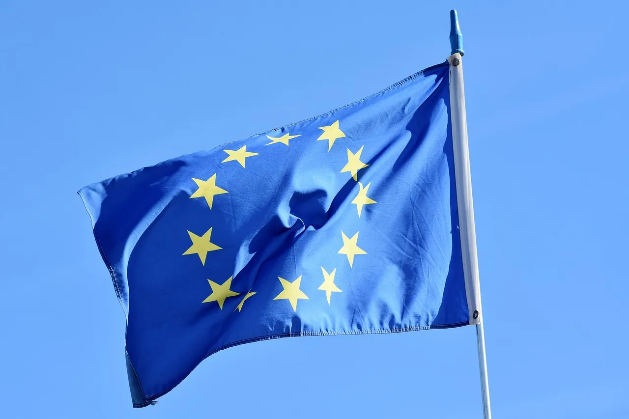 eu kommissionen däcktillverkare