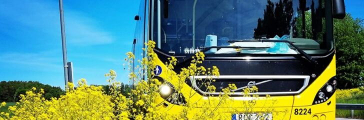 colmec däcktjänster