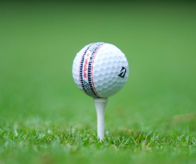 1920_derneuee6softtreadlinevonbridgestonegolf